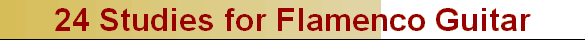24 Studies for Flamenco Guitar