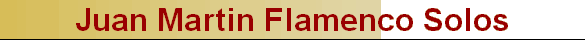 Juan Martin Flamenco Solos