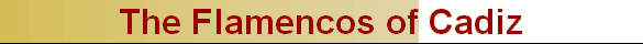 The Flamencos of Cadiz