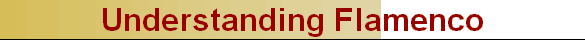 Understanding Flamenco